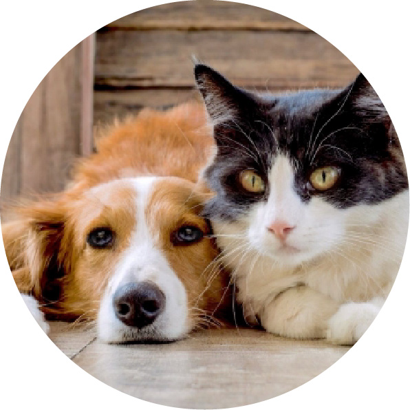 フローリングの滑りによるケガを予防